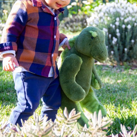 Dai No Osore Dinosaur - Large - Wonderlings