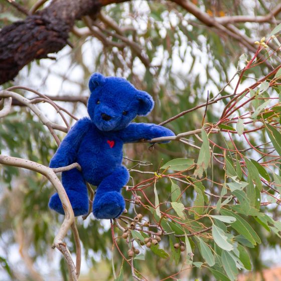 Blue Ted Teddy Bear - Small - Wonderlings