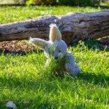 Magic Rabbit Ili Pika Rabbit - Medium - Wonderlings