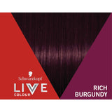 Vibrant Schwarzkopf Live Colour in Rich Burgundy for bold, long-lasting hair transformation and nourished, shiny results.