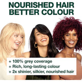 Garnier Nutrisse Hair Colour Permanent Honey Dip 7.3