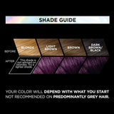 L'Oreal Preference Magnetic Plum hair color, offering vibrant, nourishing color with 100% gray coverage for a salon finish.