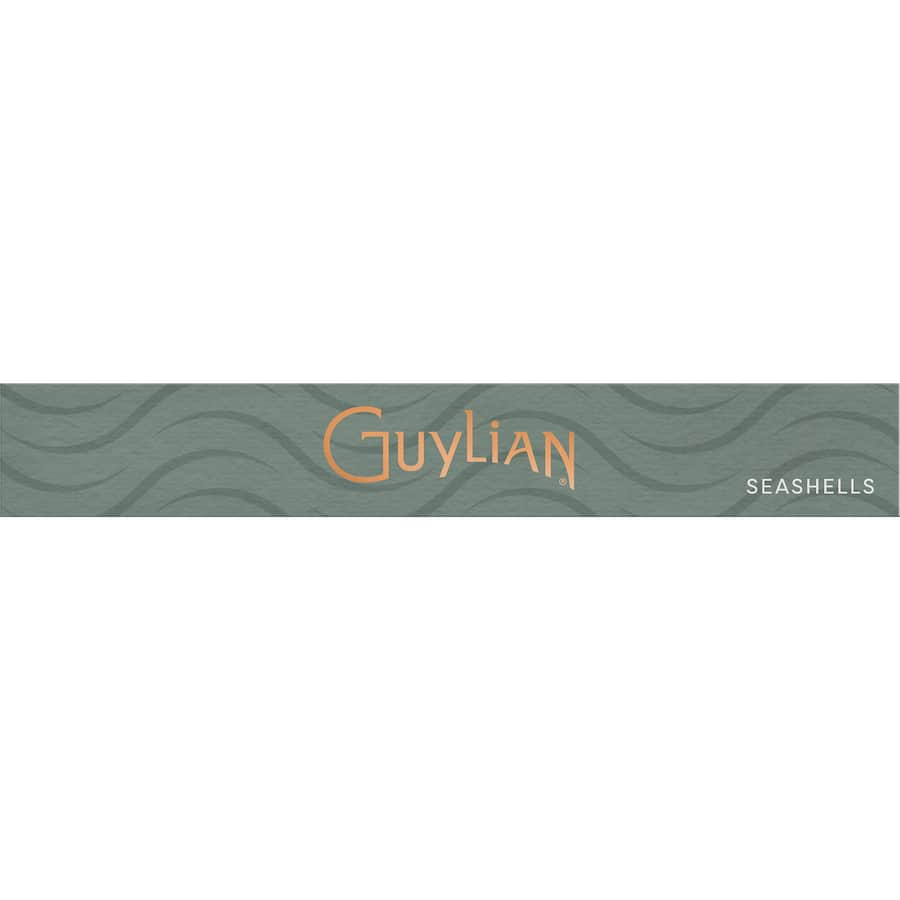 Delightful Guylian Chocolate Box filled with handcrafted Belgian seashell chocolates, perfect for gifting or indulgence.