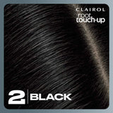 Clairol Nice N Easy Root Touch-Up Black 2: Quick hair color solution for 100% gray coverage, lasts up to 3 weeks.