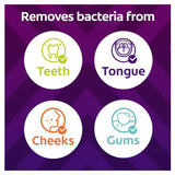 Colgate Zig Zag Toothbrush Pack with antibacterial bristles, angled for interdental cleaning, includes 6 colorful manual brushes.