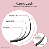 Mcobeauty Xtendlash Mascara Growth Serum Black 7mL