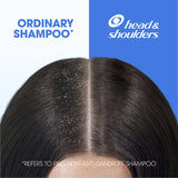 Head & Shoulders 2 In 1 Apple Fresh Shampoo & Conditioner offers dandruff control and nourishing care with a refreshing scent.