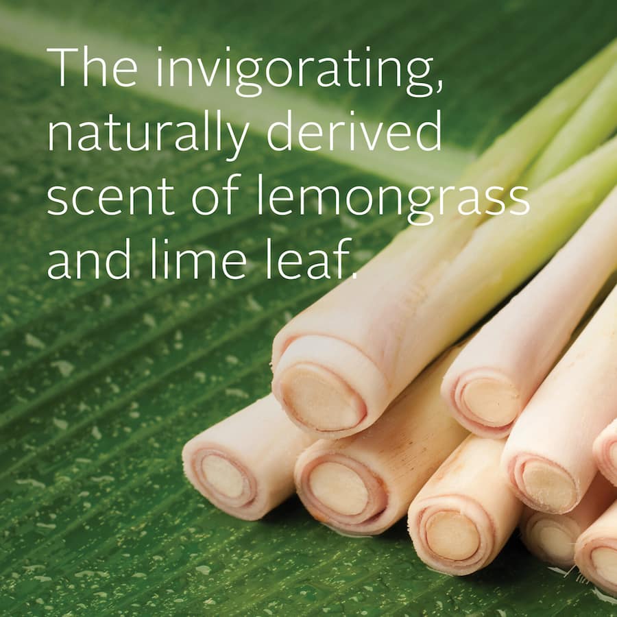 Ecostore Hand Wash in Lemongrass & Lime Leaf scent, featuring hydrating harakeke for soft, nourished skin in a recyclable bottle.