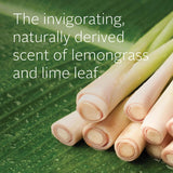 Ecostore Hand Wash in Lemongrass & Lime Leaf scent, featuring hydrating harakeke for soft, nourished skin in a recyclable bottle.