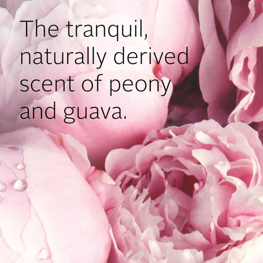 Ecostore Body Wash in Peony & Guava: a vegan, pH-balanced cleanser with shea butter for soft, nourished skin.
