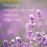Ecostore Baby Oil, featuring blackcurrant and almond oils, hydrates delicate skin with soothing lavender, eco-friendly packaging.