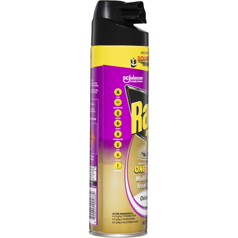 Raid One Shot Double Nozzle Multi Insect Killer  320g