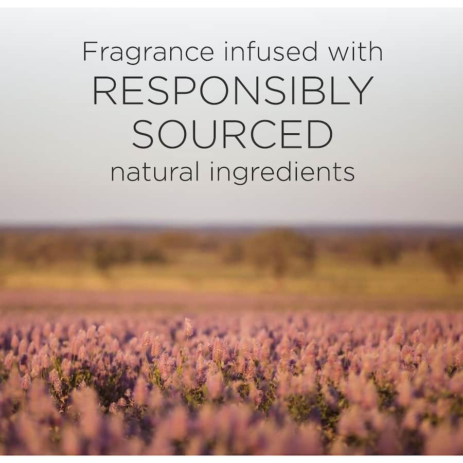 Air Wick Botanica Room Spray featuring Caribbean Vetiver & Sandalwood offers a refreshing, eco-friendly fragrance for any space.