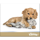 Kleenex Large N Thick 3-ply tissues offer softness and strength for comfort during colds and allergies.