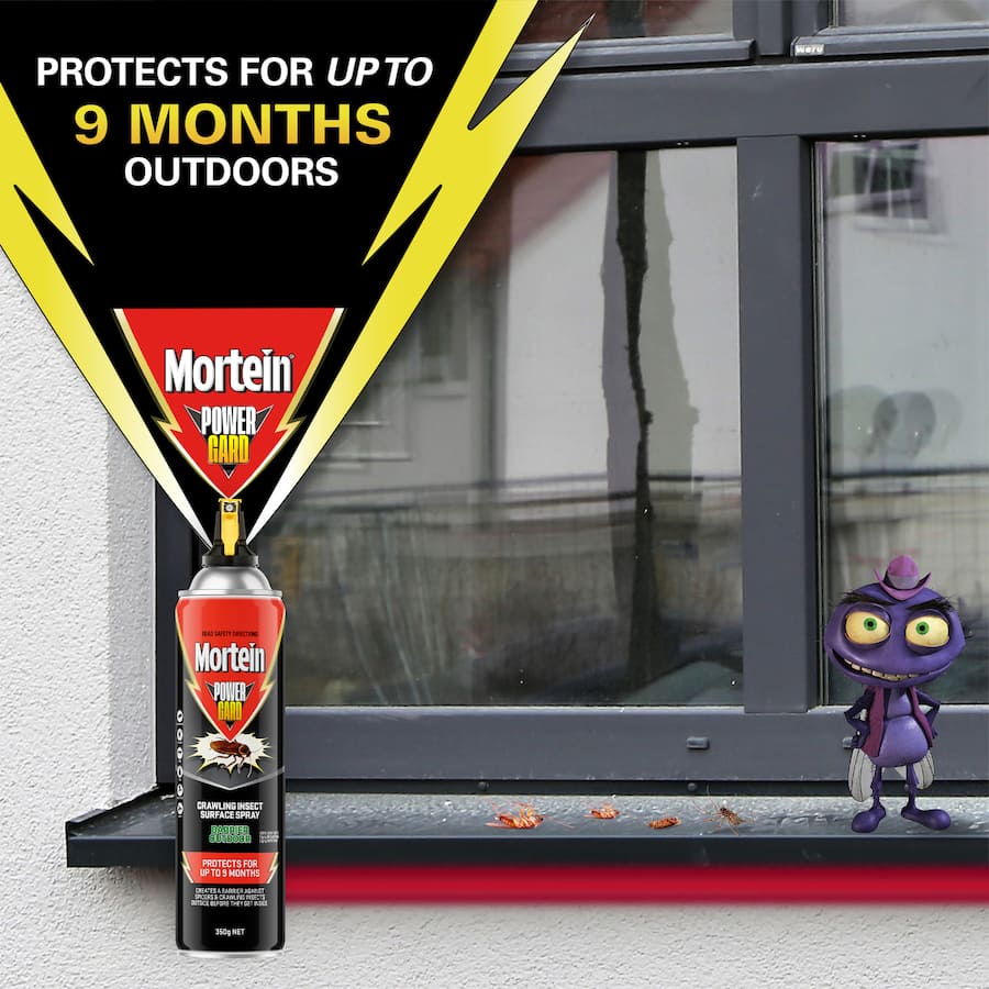 Mortein Powerguard insect spray can, 350g, for 9-month outdoor protection against spiders and crawling pests.