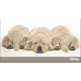 Kleenex Tissues White Box 250pack