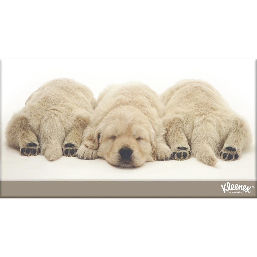 Kleenex Tissues White Box 250pack
