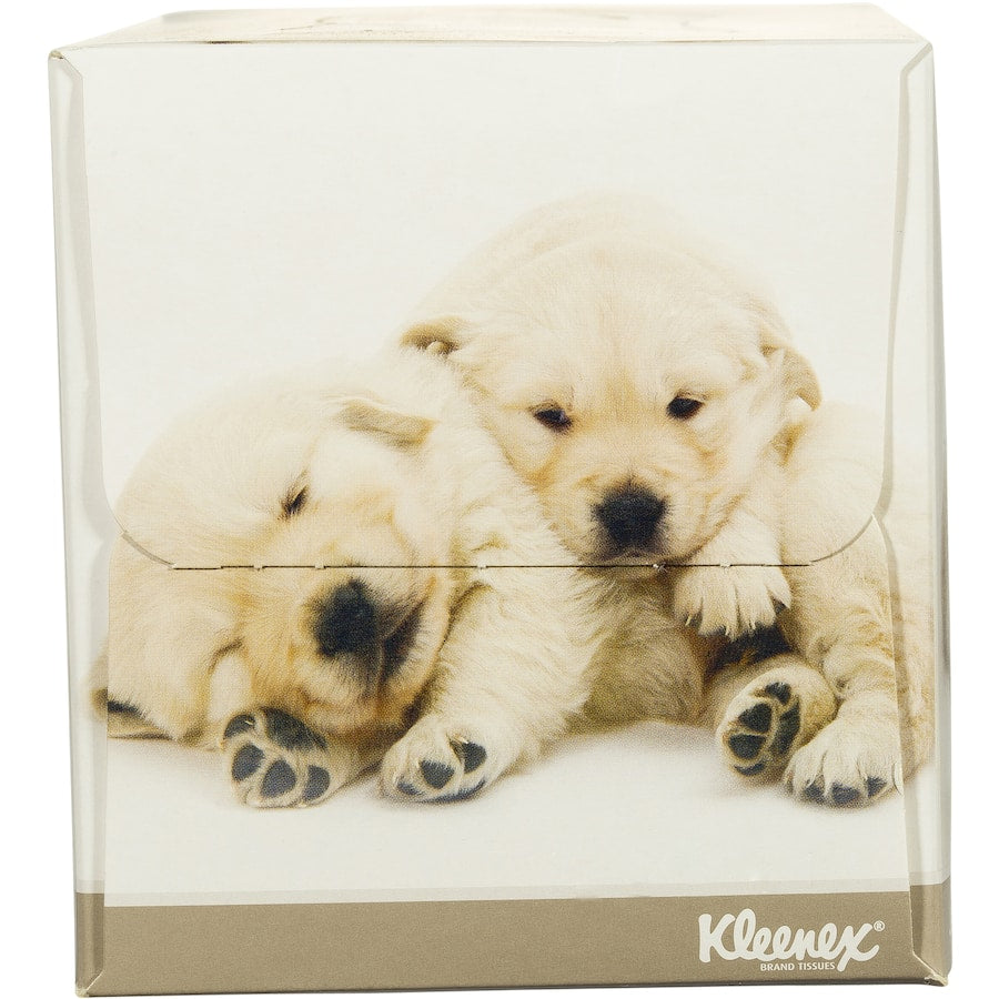 Kleenex Tissues White Box 250pack