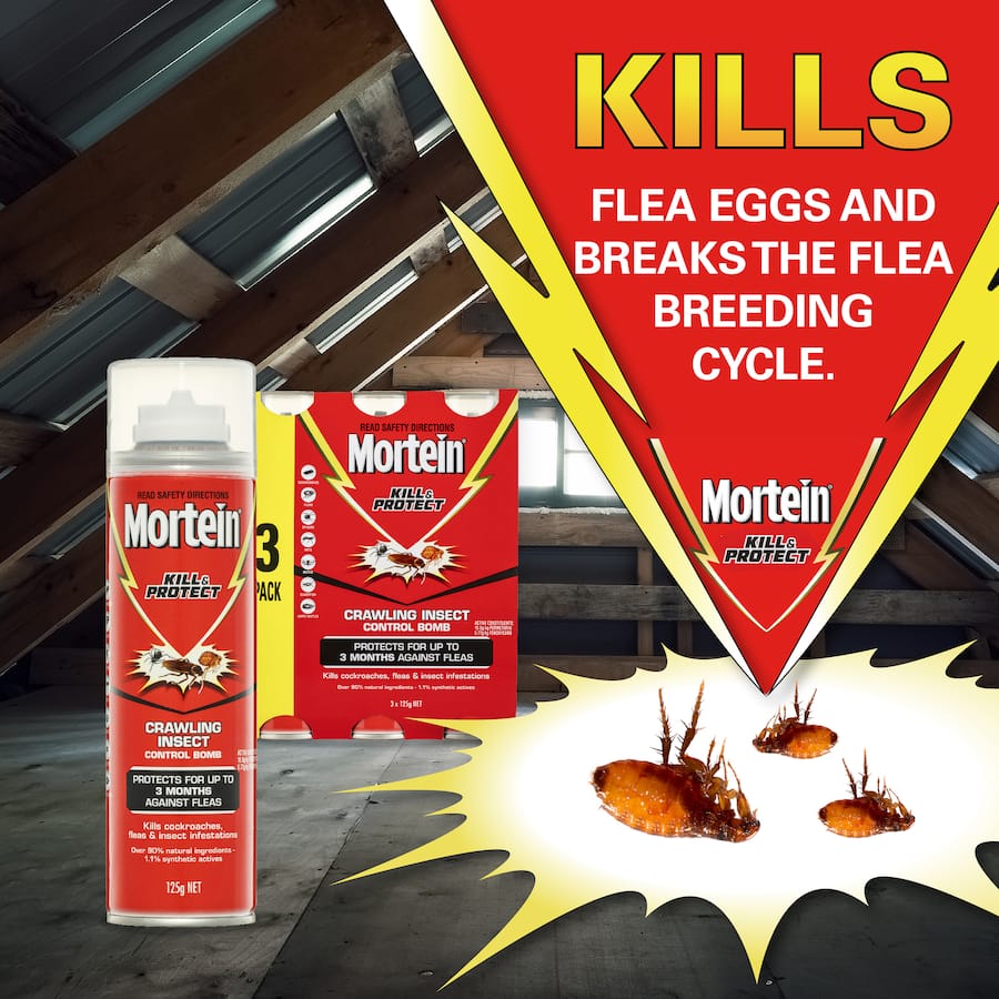 Mortein Kill & Protect Crawling Insect Bomb effectively targets various pests for up to 3 months with a fine mist application.