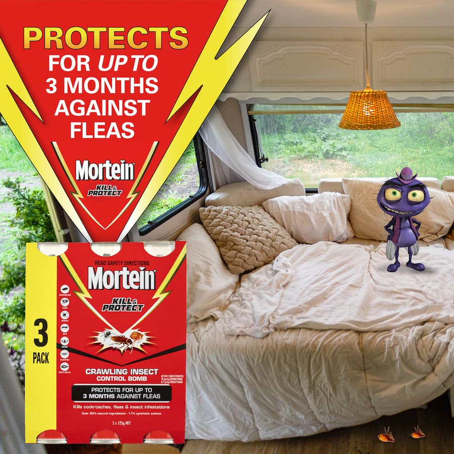 Mortein Kill & Protect Crawling Insect Bomb, designed for effective elimination of fleas, cockroaches, and other pests.
