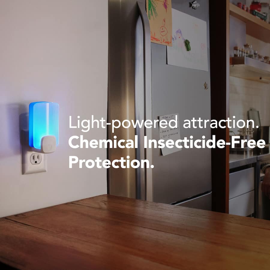 Raid Insect Light Trap attracting and capturing flying insects with its UV light, ideal for pest-free kitchens and workspaces.