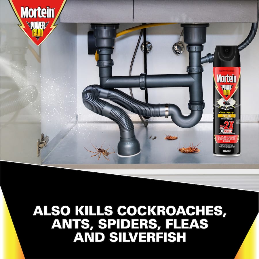 Mortein Powerguard Insect Control Flying Insect Killer Spray 300g