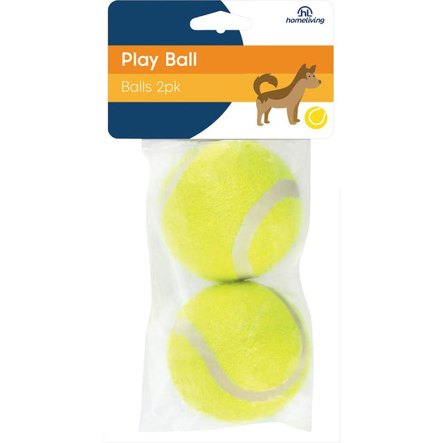 Colorful pack of 2 Homeliving Play Balls, ideal for pets and kids' outdoor fun and schoolyard games.