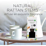 Air Wick Botanica Reed Scented Diffuser Vanilla & Himalayan Magnolia 80mL