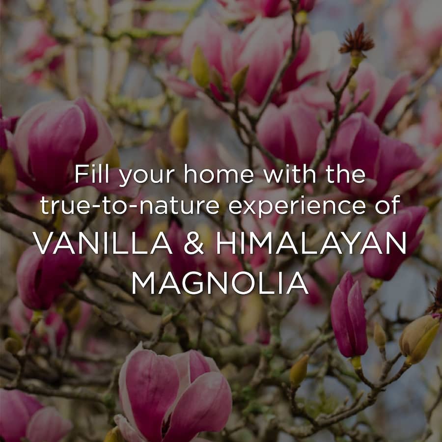 Air Wick Botanica Vanilla & Himalaya Magnolia candle, infused with essential oils for a warm, inviting atmosphere.