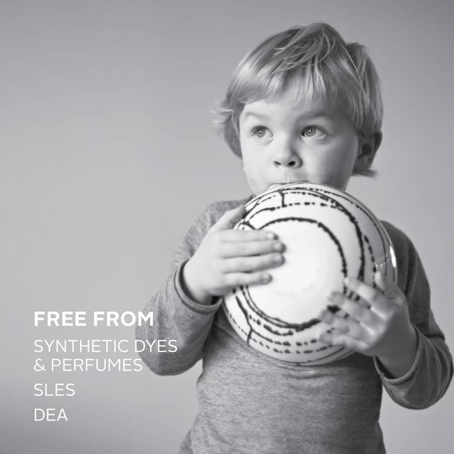 Ecostore Dishwash Liquid Lemon 1L