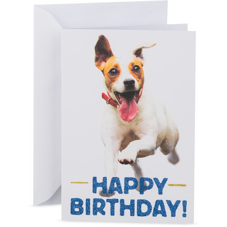 Hallmark birthday card featuring a racing Jack Russell Terrier, perfect for dog lovers and cheerful celebrations.