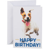 Hallmark birthday card featuring a racing Jack Russell Terrier, perfect for dog lovers and cheerful celebrations.