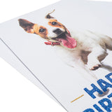 Hallmark birthday card featuring a joyful Jack Russell Terrier running, perfect for dog lovers and cheerful celebrations.