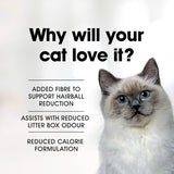 Fussy Cat Grain Free Dry Food with chicken and ocean fish, designed for indoor cats to support digestion and weight management.