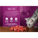Whiskas Wet Cat Food Meaty Cuts In Gravy Pouch 15x85g