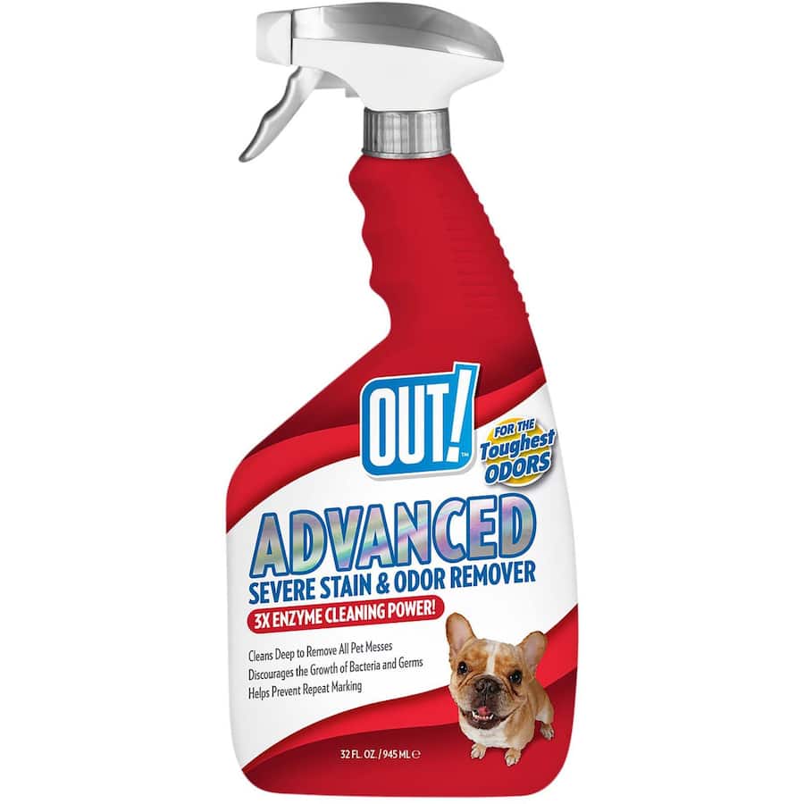Powerful stain and odor remover for pet accidents, safe for pets and children, featuring easy spray application.