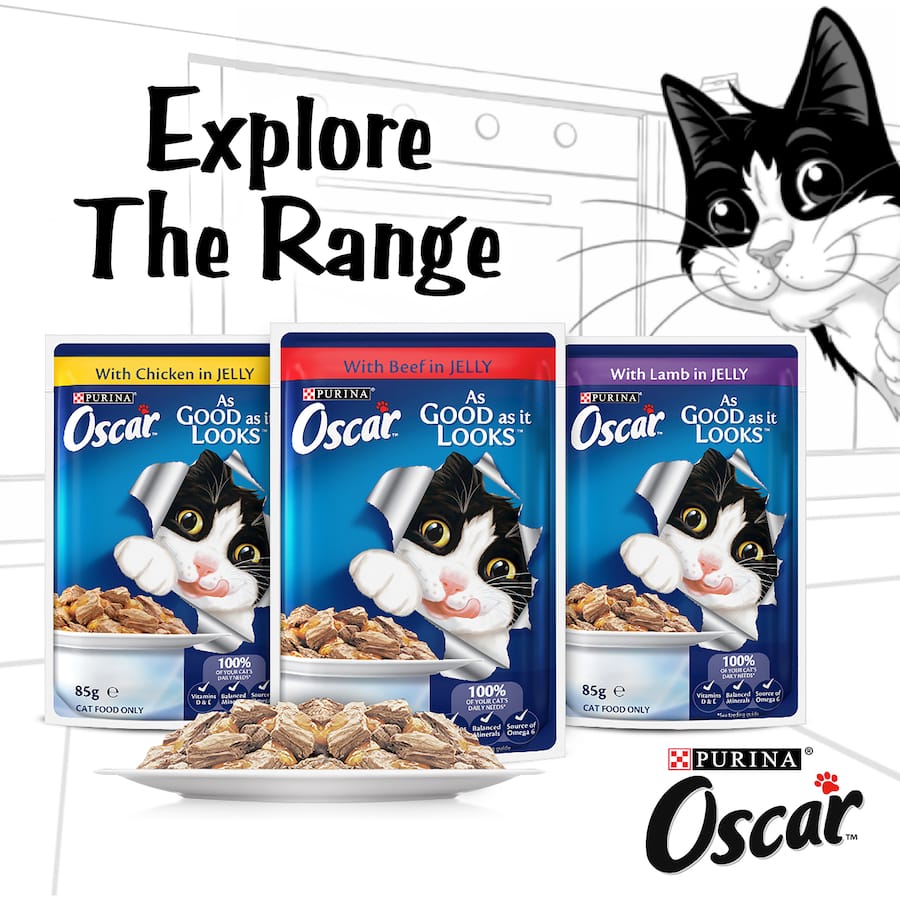 Delicious Purina Oscar Wet Cat Food with tender chicken in savory jelly, packed with essential nutrients for adult cats.
