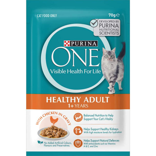 Succulent chicken in gravy wet cat food supporting digestion and natural defenses, free from artificial additives.