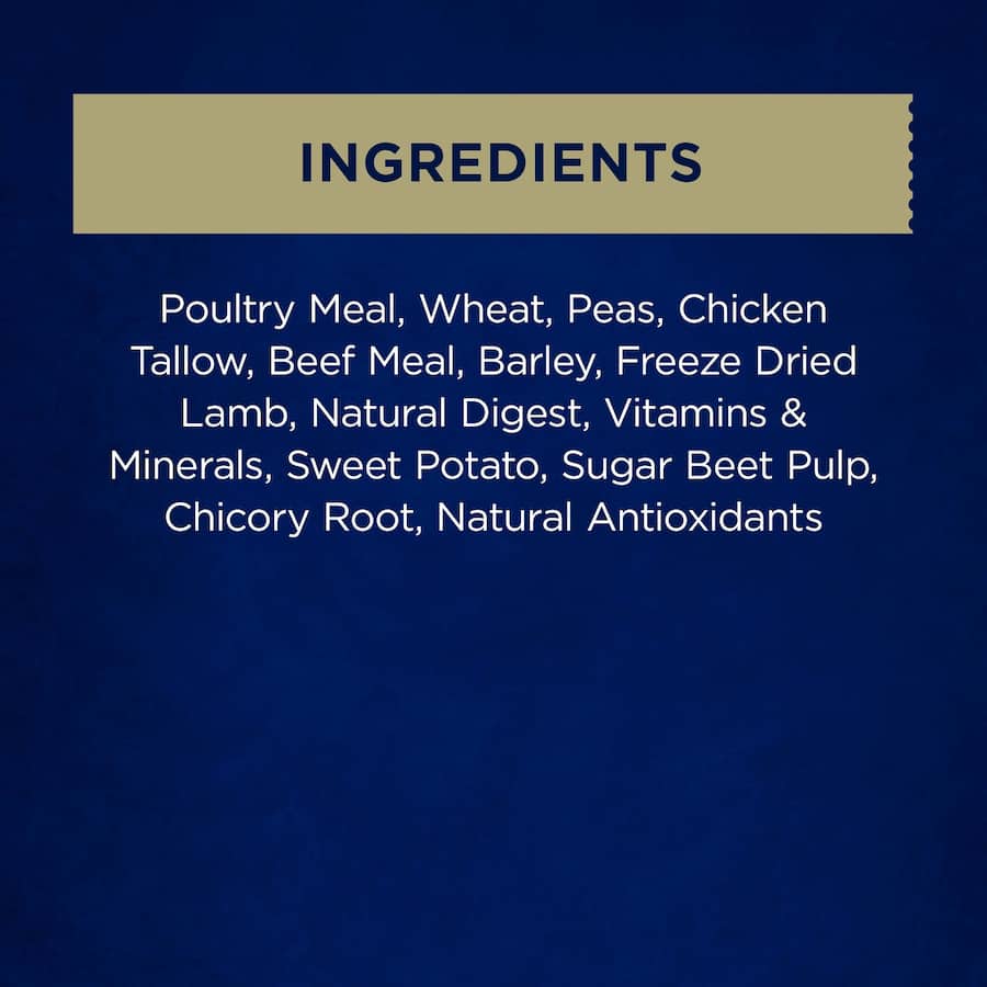 Farmers Market Dry Dog Food featuring beef and garden vegetables for healthy, nutritious meals for dogs of all life stages.