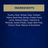 Farmers Market Dry Dog Food featuring beef and garden vegetables for healthy, nutritious meals for dogs of all life stages.