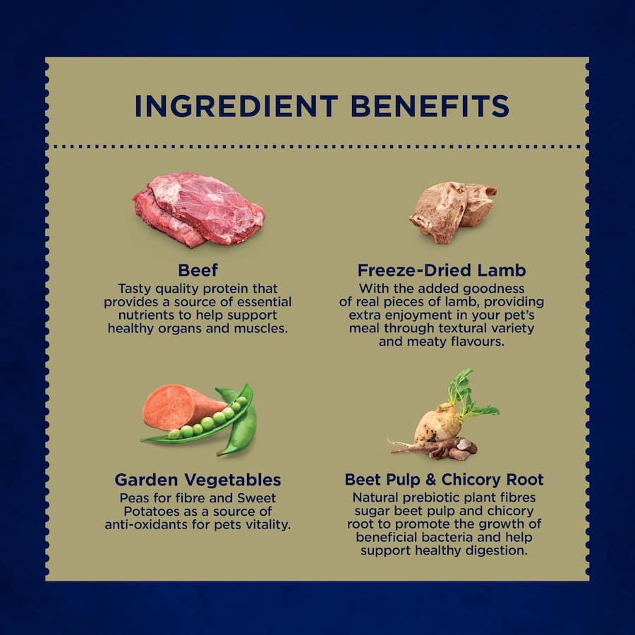 Wholesome dry dog food featuring beef and garden vegetables for nutritious, tail-wagging meals for all life stages.