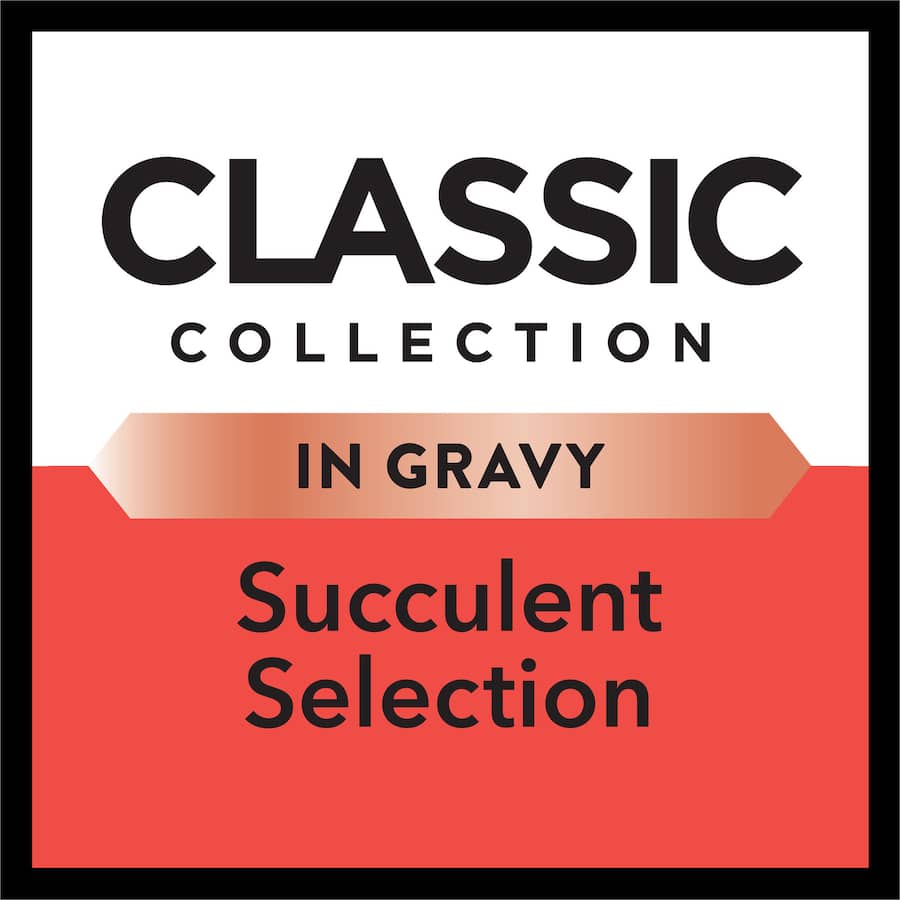 Premium wet cat food featuring mixed meats in gravy, ensuring tasty meals and essential nutrition for discerning cats.