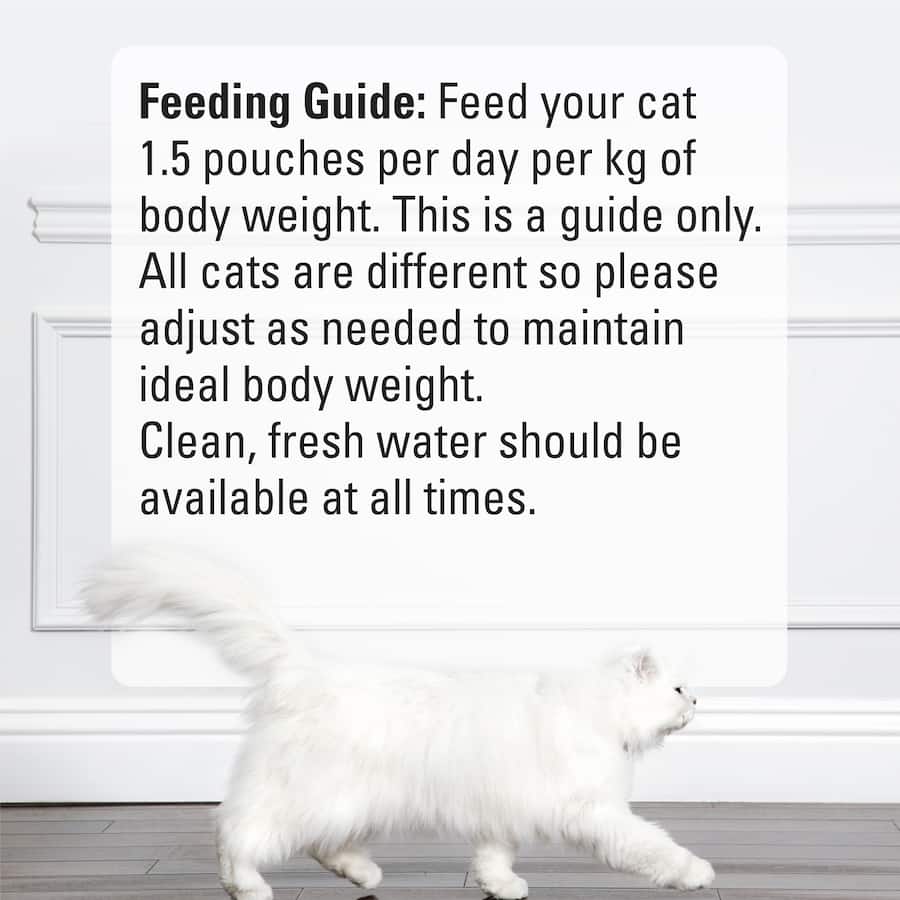 Fancy Feast Petite Delights Wet Cat Food Salmon & Chicken Pouch 6x50g