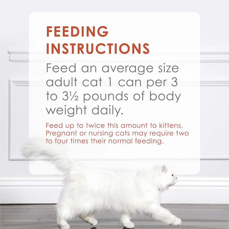Gourmet Fancy Feast wet cat food featuring real salmon in a finely ground pâté for a delicious, nutritious meal.