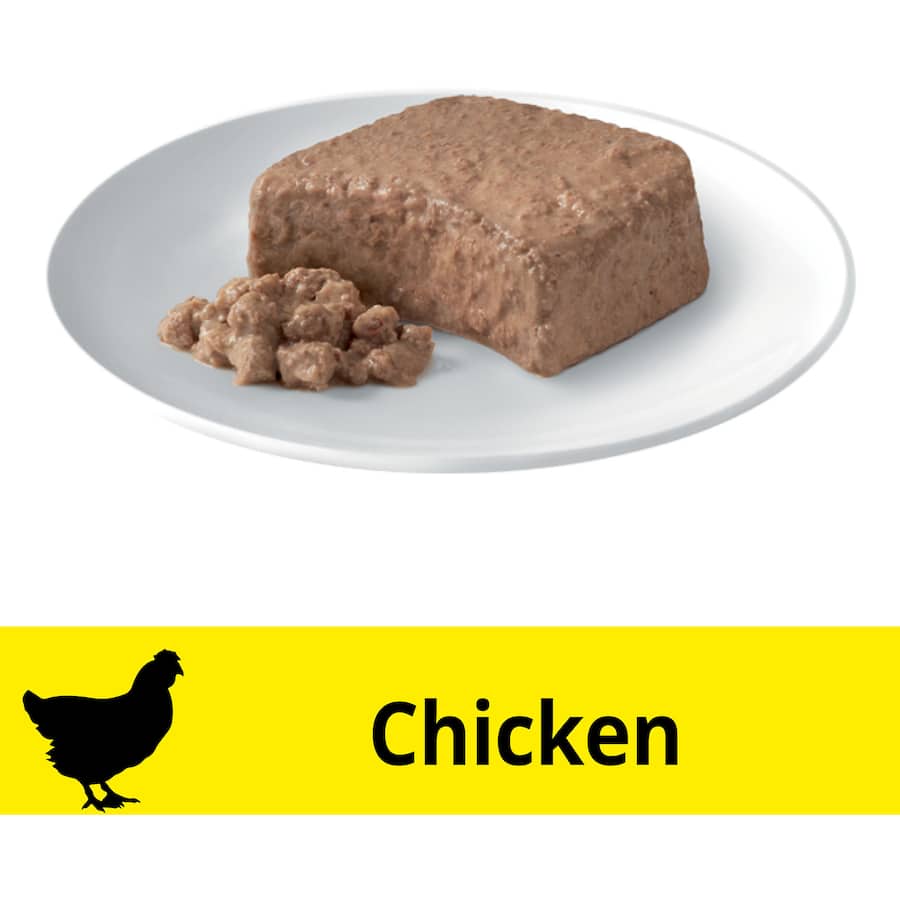 Dine Classic Kitten Wet Cat Food with Tender Chicken, a protein-rich meal for healthy growth and playful kittens.