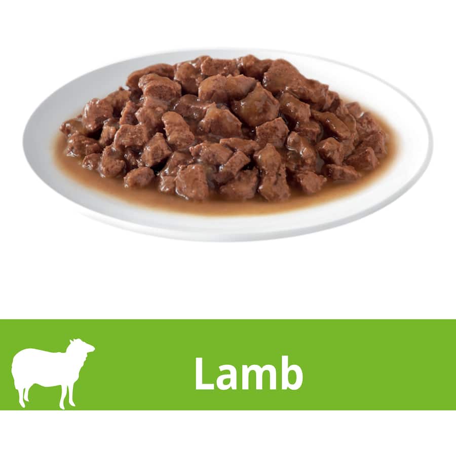 Gourmet wet cat food with tender lamb cuts in rich gravy, designed for refined feline palates.