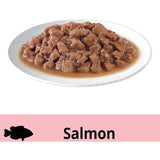 Dine Classic Collection Saucy Morsels with Salmon, featuring tender morsels in rich sauce for a balanced cat meal.