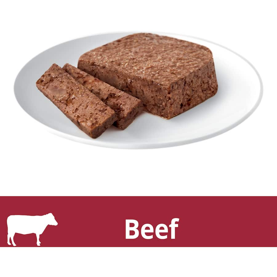 Gourmet wet cat food terrine with beef, featuring tender meat pieces for a nutritious and delightful meal for adult cats.