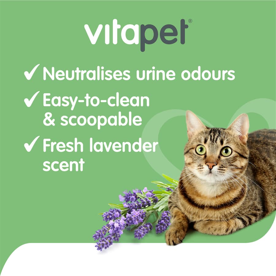 Vitapet Purrfit Lavender Cat Litter: environmentally friendly clumping litter with lavender scent for effective odour control.