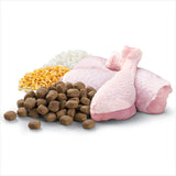 Premium dry dog food with chicken, vegetables, and rice for balanced nutrition and healthy digestion.